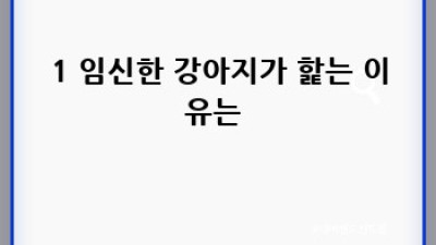 🐶 댕댕이가 핥는 이유? 속 시원한 해답 여기! 🤔