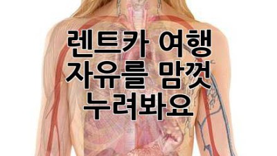 🚗💨 렌트카 여행: 자유를 맘껏 누려봐요! 🏞️